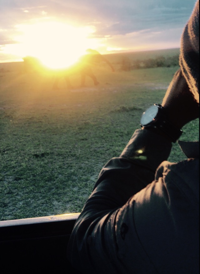 Mannen min speider: En elefant!